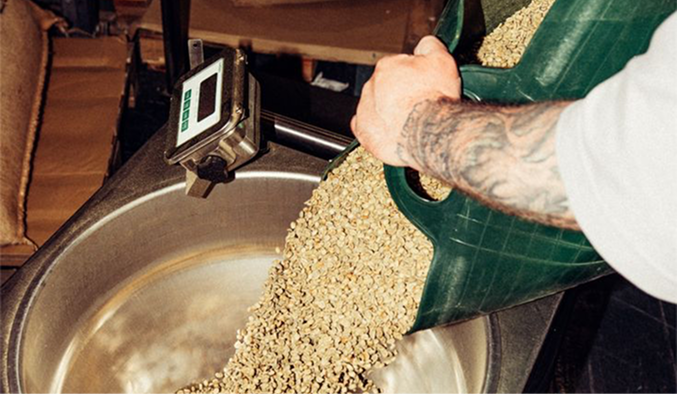 Coffee beans being poured into roaster