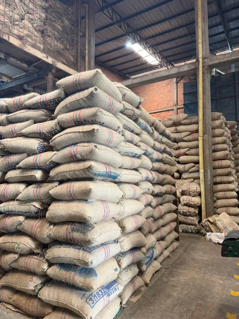 Stacked coffee bags ready for export