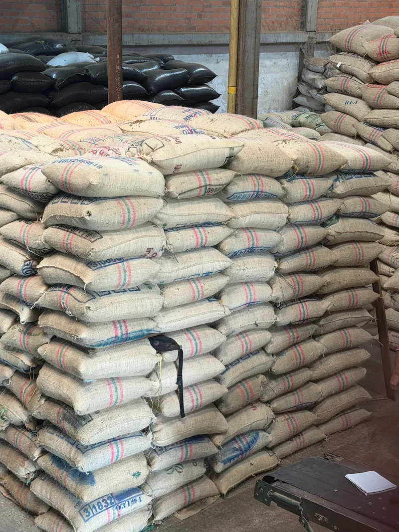 Green coffee bags in storage